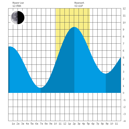 Amak Island tide chart for Thursday, December 11, 2025