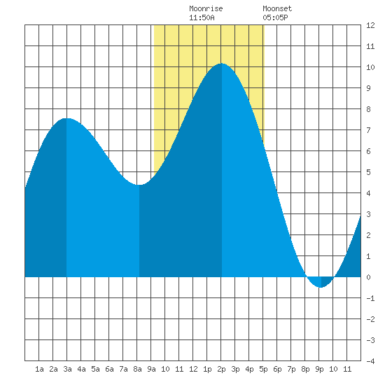 Chowiet Island tide chart for Friday, November 21, 2025