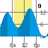 American Bay tide chart for Sunday, November 9, 2025