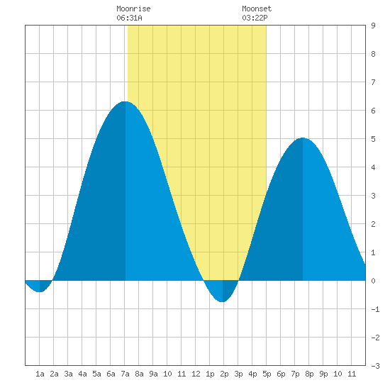 RR bridge tide chart for Friday, January 20, 2023