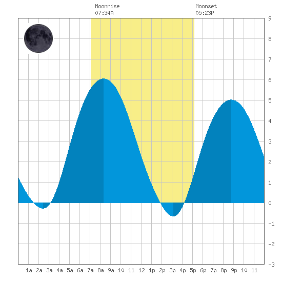 RR bridge tide chart for Wednesday, January 29, 2025
