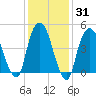 RR bridge tide chart for Friday, January 31, 2025