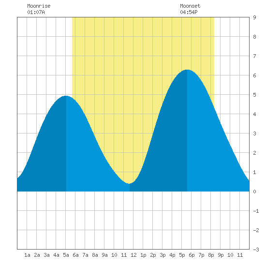 RR bridge tide chart for Sunday, July 20, 2025