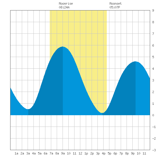 RR bridge tide chart for Friday, November 21, 2025