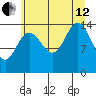 Composite Island tide chart for Monday, August 12, 2024