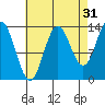 Anchor Point tide chart for Saturday, August 31, 2024
