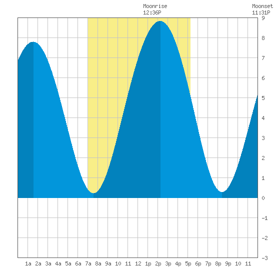 Whale Branch tide chart for Tuesday, November 29, 2022