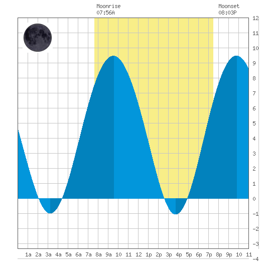 Whale Branch tide chart for Sunday, March 10, 2024
