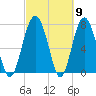 Whale Branch tide chart for Saturday, March 9, 2024