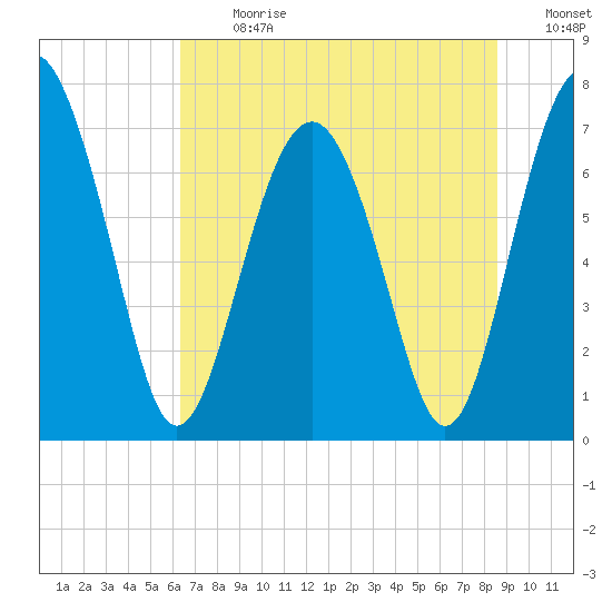 Whale Branch tide chart for Monday, July 8, 2024