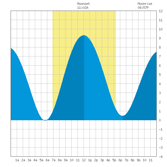 Whale Branch tide chart for Tuesday, November 19, 2024