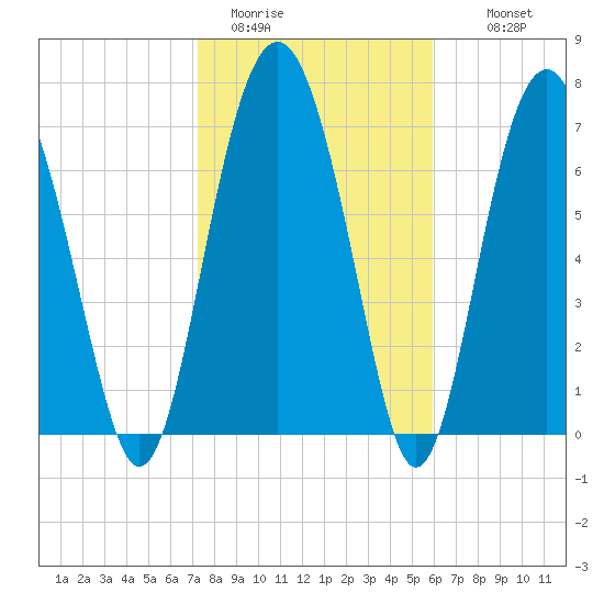 Whale Branch tide chart for Friday, January 31, 2025
