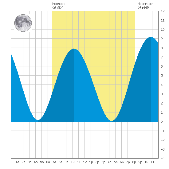 Whale Branch tide chart for Saturday, August 9, 2025