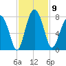 Whale Branch tide chart for Sunday, November 9, 2025