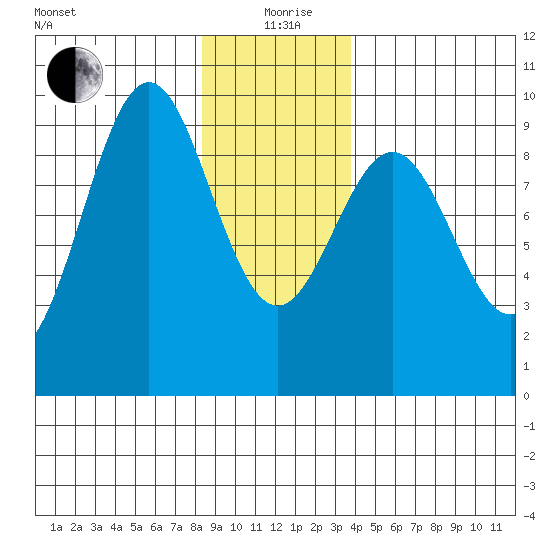 Coronation Island tide chart for Sunday, January 9, 2022