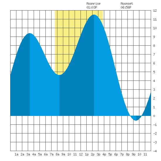 Coronation Island tide chart for Friday, November 17, 2023