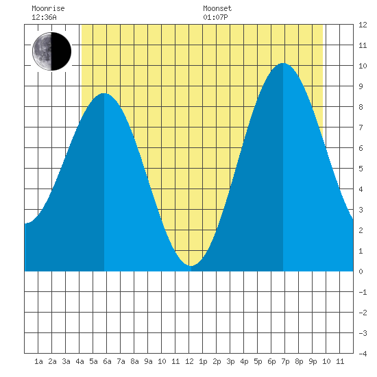 Coronation Island tide chart for Friday, June 28, 2024