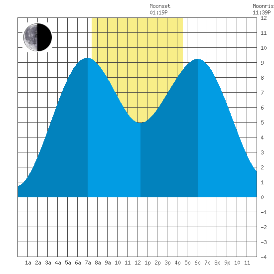 Cosmopolis tide chart for Friday, November 22, 2024