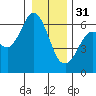 Salt Creek tide chart for Saturday, December 31, 2022