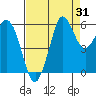 Salt Creek tide chart for Thursday, August 31, 2023