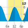 Dallas Bluff tide chart for Thursday, August 12, 2021