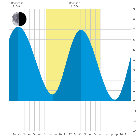 Dallas Bluff tide chart for Tuesday, January 25, 2022