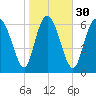 Dallas Bluff tide chart for Tuesday, January 30, 2024