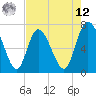 Dallas Bluff tide chart for Monday, May 12, 2025