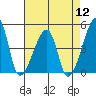Dennis Creek Route 47 tide chart for Friday, August 12, 2022