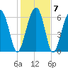 Distant Island tide chart for Friday, January 7, 2022