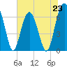 Distant Island tide chart for Sunday, June 23, 2024