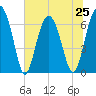 Distant Island tide chart for Tuesday, June 25, 2024