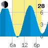 Distant Island tide chart for Friday, June 28, 2024