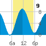 Distant Island tide chart for Sunday, November 9, 2025