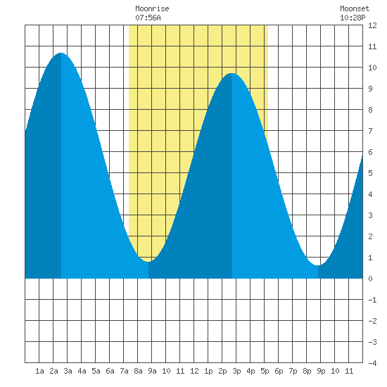 Palma Bay tide chart for Friday, February 20, 2026
