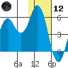 Dolgoi Island tide chart for Tuesday, January 12, 2021
