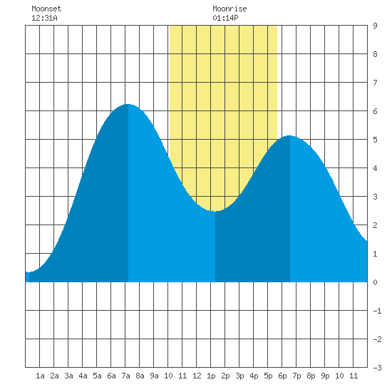 Dolgoi Island tide chart for Saturday, January 8, 2022