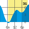 Dolgoi Island tide chart for Wednesday, July 31, 2024