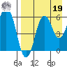 Dolgoi Island tide chart for Monday, August 19, 2024