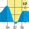 Dora Harbor tide chart for Sunday, May 12, 2024