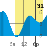 Dora Harbor tide chart for Saturday, August 31, 2024