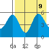 Dora Harbor tide chart for Friday, August 9, 2024