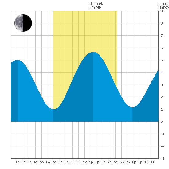 Duck Island tide chart for Friday, November 22, 2024