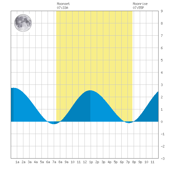 Dunedin tide chart for Sunday, March 28, 2021