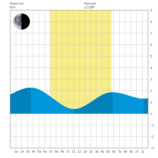 Dunedin tide chart for Friday, November 22, 2024