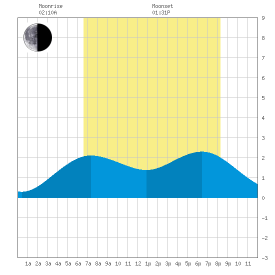 Dunedin tide chart for Tuesday, May 20, 2025