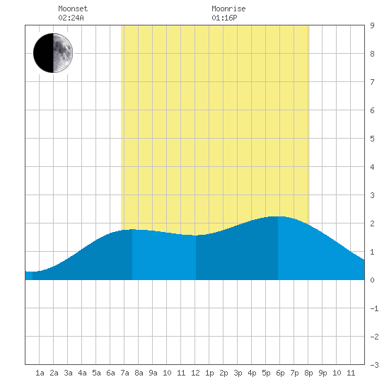 Dunedin tide chart for Sunday, May 4, 2025