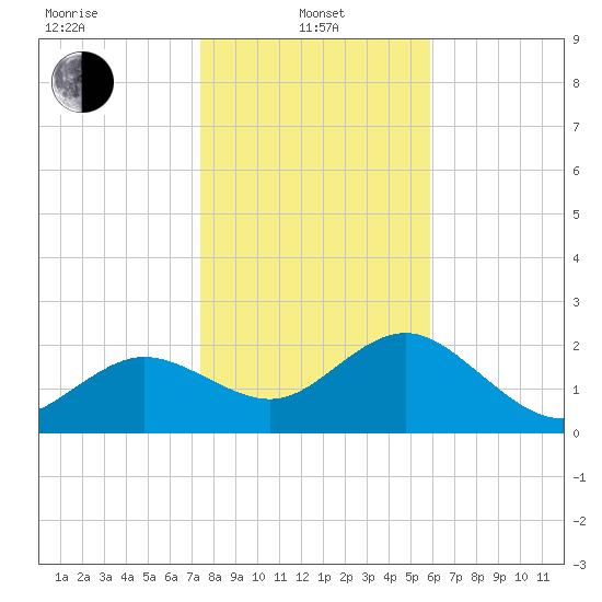 Dunedin tide chart for Saturday, January 10, 2026