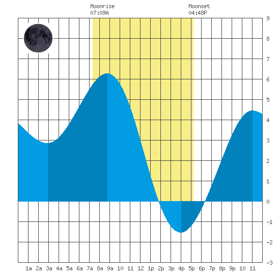 Ano Nuevo tide chart for Tuesday, January 12, 2021