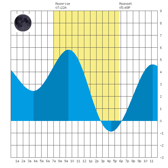 Ano Nuevo tide chart for Thursday, February 11, 2021